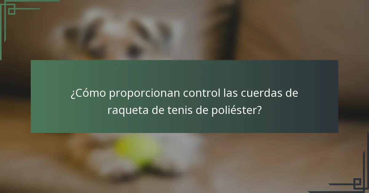 ¿Cómo proporcionan control las cuerdas de raqueta de tenis de poliéster?