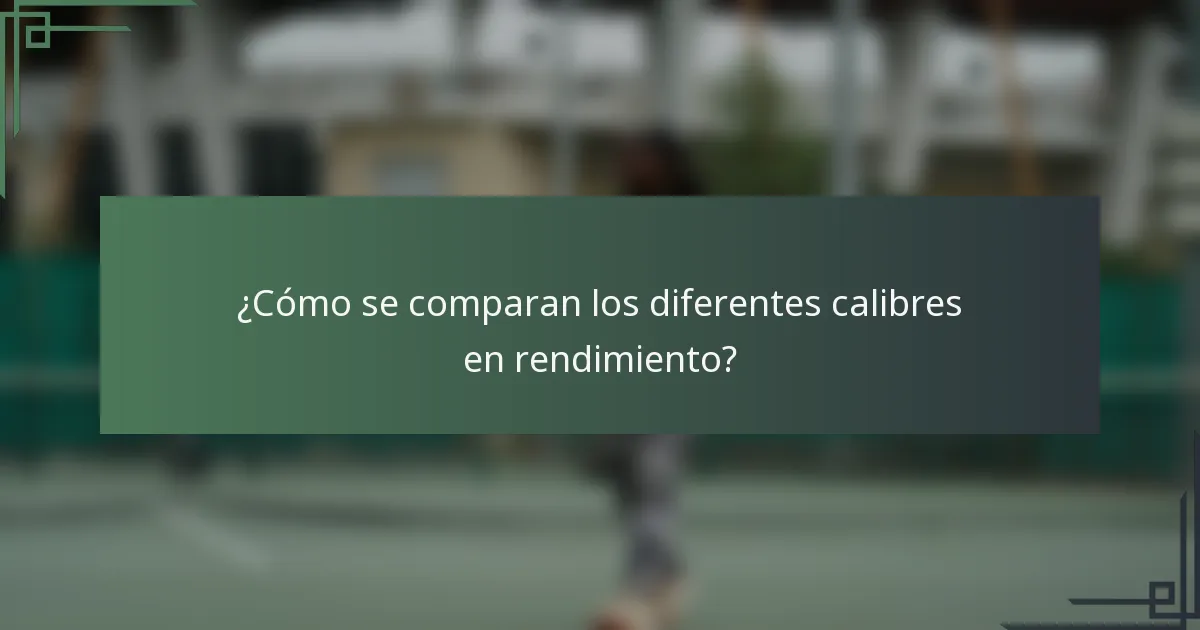 ¿Cómo se comparan los diferentes calibres en rendimiento?