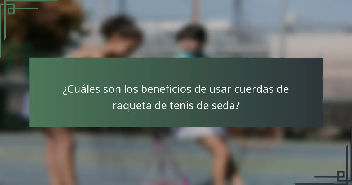 ¿Cuáles son los beneficios de usar cuerdas de raqueta de tenis de seda?