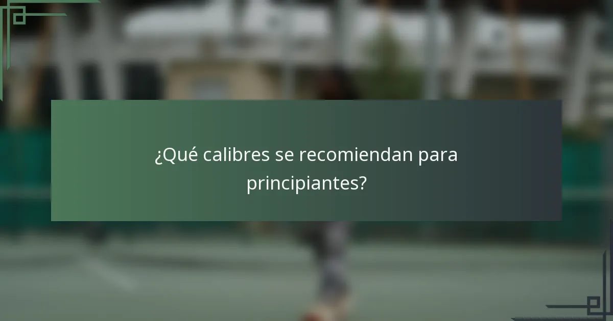 ¿Qué calibres se recomiendan para principiantes?