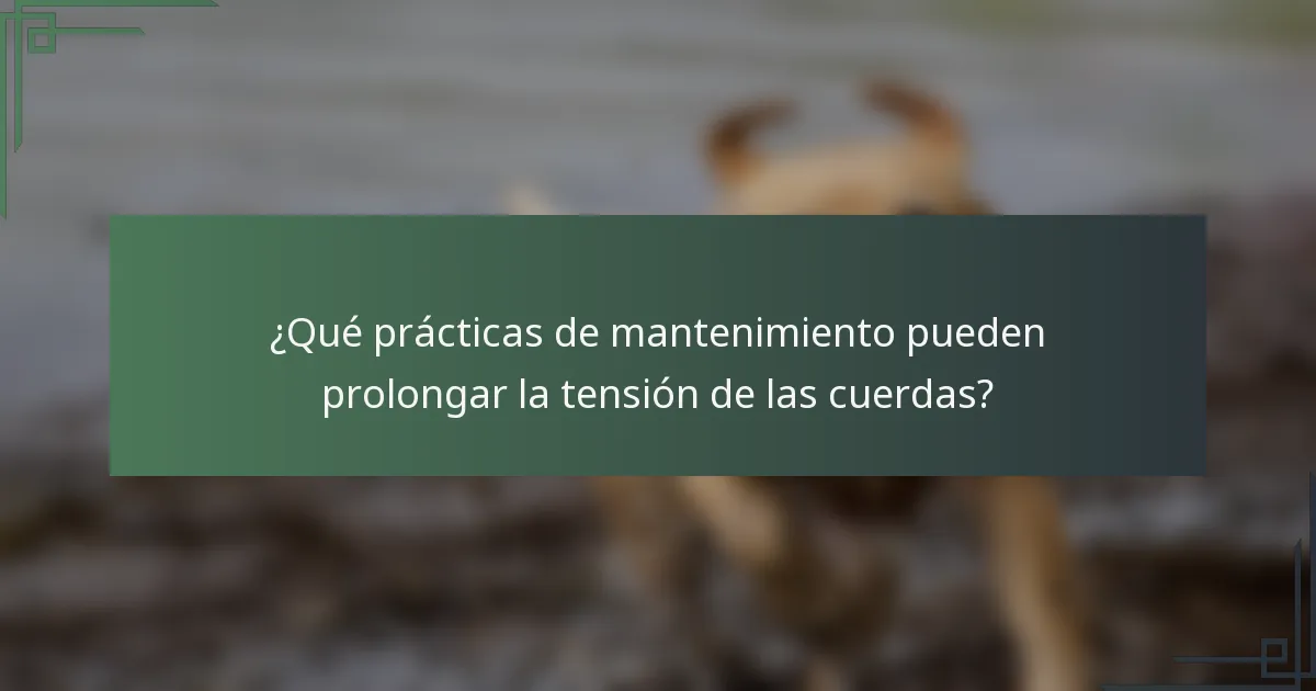 ¿Qué prácticas de mantenimiento pueden prolongar la tensión de las cuerdas?