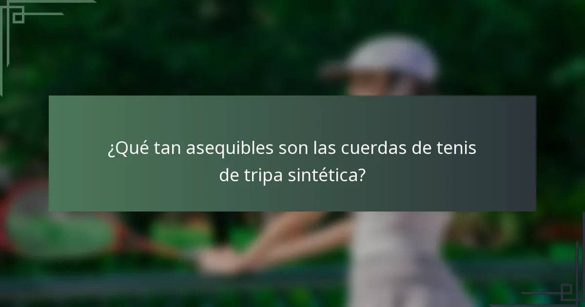 ¿Qué tan asequibles son las cuerdas de tenis de tripa sintética?